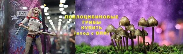 герыч Новозыбков