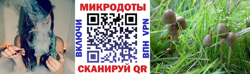 Галлюциногенные грибы ЛСД  цены   Динская 