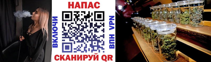 Бошки Шишки индика Динская